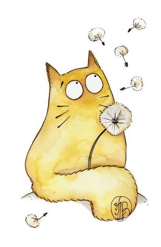 zver_ok_'s profile picture. Рыжая, честная, влюбленная :) Улыбнись миру, и он улыбнется тебе :) Собираю интересное и забавное о кошках, собаках и прочих братьях меньших. Поддерживаю WWF.