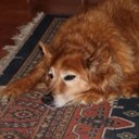 Marion Bradshaw - @MarionBradshaw - Twitter