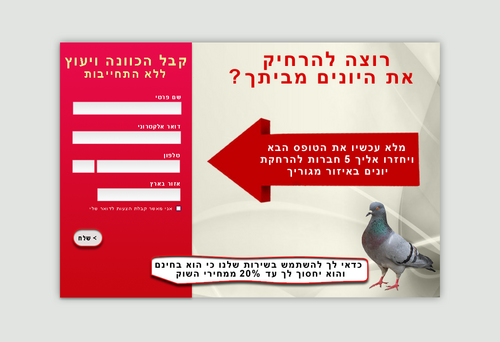 aviel99's profile picture. 