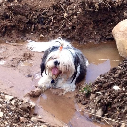 happyandre2000's profile picture. 