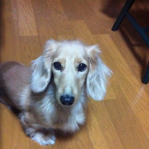 nart0612's profile picture. 