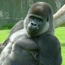 jeri chapman - @jerm59 - Twitter