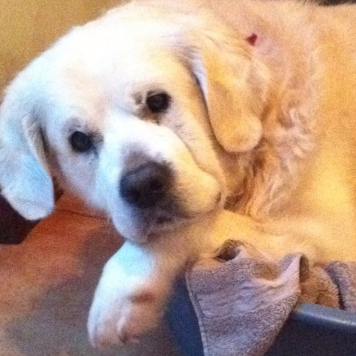 PHILOM1234's profile picture. 