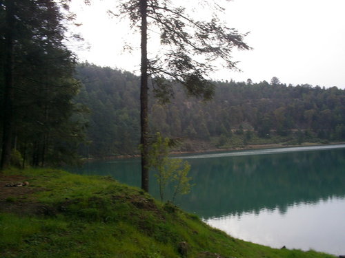 cvjj340's profile picture. 