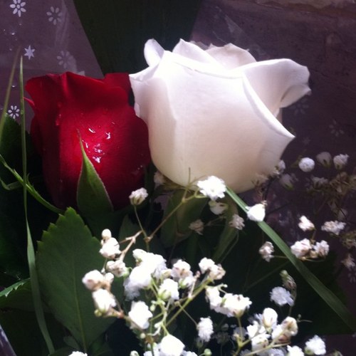 OulaAdel's profile picture. 