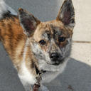 Nancy Tarr - @hart90nancy - Twitter