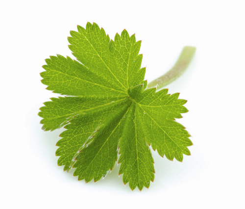 jocecampbell's profile picture. It's all about balance:  harmonious environments and accounting that works.