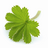 jocecampbell's profile image