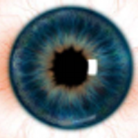 olhaolhaolha (@olhaolha) 's Twitter Profile