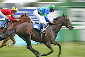 RacingTipsKing's profile picture. Professional Racing Gambler! Follow me for the Horse Racing Tips that WIN! More info available on the blog, http://t.co/qPewpYXnlP