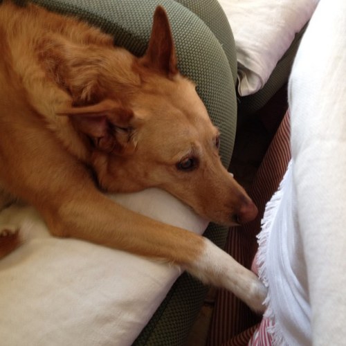 carmela2505's profile picture. 