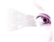 Temassinaloa's profile picture. 