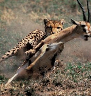 GwizziTips's profile picture. Заметки