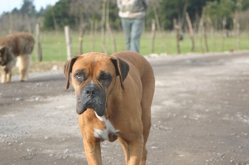 jcarva911's profile picture. 