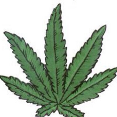 Stoner Quotes Quote420 Twitter