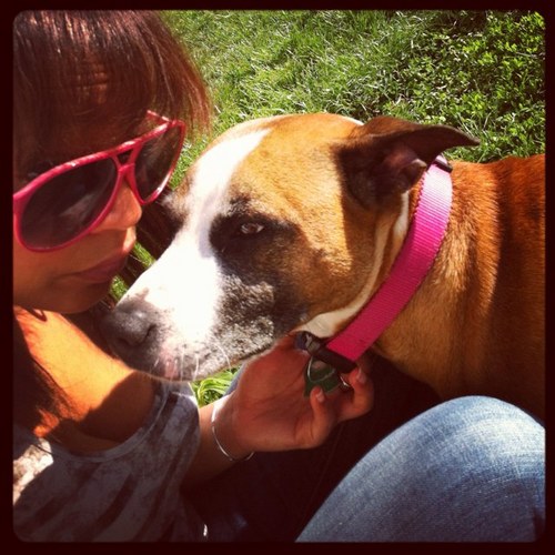 Fly0my's profile picture. 