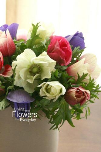 bonbonkzc's profile picture. 