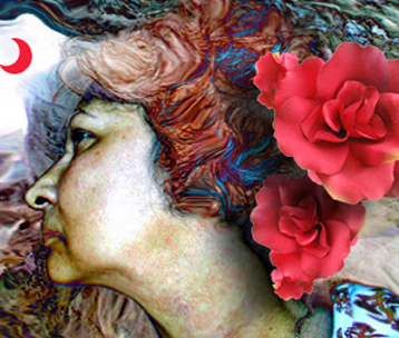 lfdeale's profile picture. 