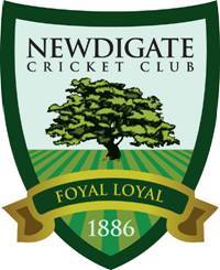 Friendly club based in Surrey. We play in the Fuller's Surrey County League. We also have a team on a Sunday playing Friendlies and a thriving colts section