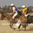 KentuckyPoloX's profile image