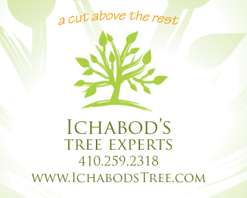 Ichabod's Tree Experts offers professional tree service in Carroll, Howard & Baltimore Counties.
MD State Tree Expert License #1026
Tree Removal & Pruning