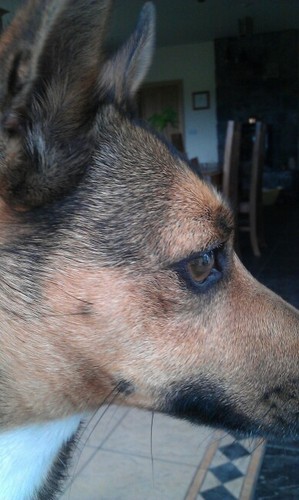 tigherant's profile picture. 