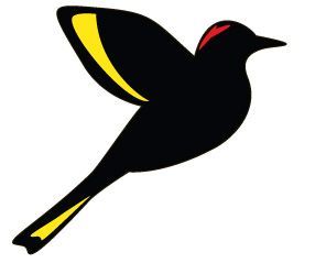 YHinn2700's profile picture. 