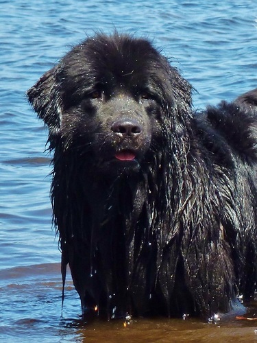 victoriahalifax's profile picture. Mechanical Engineer