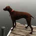 Julie B (@zipin) Twitter profile photo