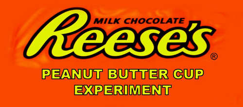 reeses9215's profile picture. Gotta Love The Chocolate Peanut Buttery Taste!!