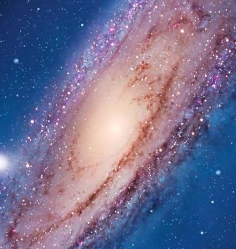 saya20tash's profile picture. لا إله إلا أنت سبحانك إني كنت من الظالمين