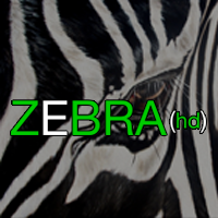 zebrahd's profile picture. The world's first interactive 24 hour internet television network.