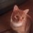 Lesley2268's profile image