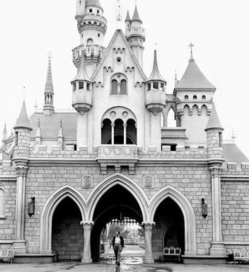 Fun facts and trivia from the one and only Disneyland Resort!