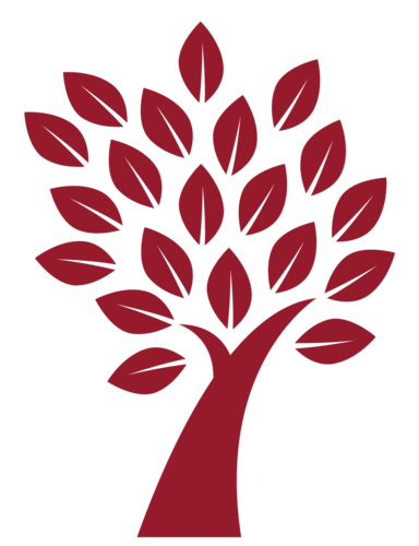 Red Tree is a study travel agency based in London UK and Bogotá, Colombia.
We provide a wide range of support and guidance for students.