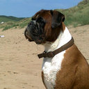 chris buxton - @chrisbuxton4 - Twitter