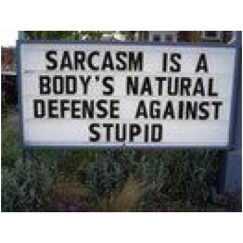 amaury_fierro's profile picture. 