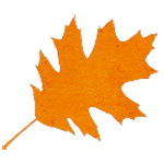 valleyds's profile picture. ValleyDS Web Design building a better web for the Central Valley.