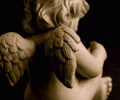 JFjellander's profile picture. 