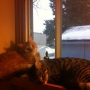 Stacey Floyd - @staceyannefloyd - Twitter