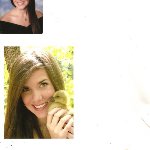 alpymac's profile picture. 