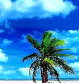 Jhop117's profile picture. 