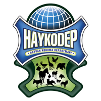 Haykodep (@haykodep) 's Twitter Profile Photo Haykodep (@haykodep) 's Twitter Profile Photo