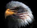 Proud American tired of what is being done to this country by the liberals. Time to take our country back!! Navy Brat 4life #LNYHBT@seanhannity
