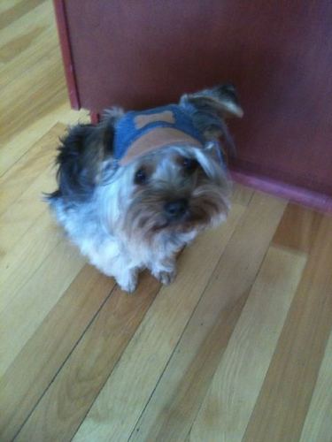 MyTechGuruToo's profile picture. 