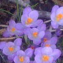 nicole daul - @nicole793 - Twitter