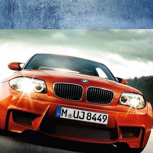 mikogonet's profile picture. 