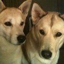 Georgene Davis - @gg871958 - Twitter