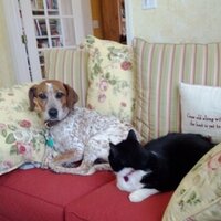 Marsha (@countessbess) 's Twitter Profile