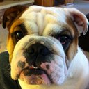 Robert Viets - @RobertViets - Twitter